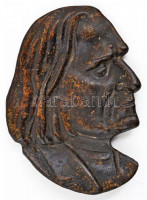 Liszt Ferencet ábrázoló dísztárgy, fém, jelzés nélkül, 17x13 cm