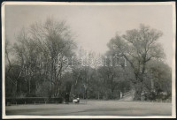 1928 Kinszki Imre (1901-1945) budapesti fotóművész jelzés nélküli, de általa feliratozott, vintage fotója (Városliget, ez a 46. sz. felvétele), 5,8x8,7 cm