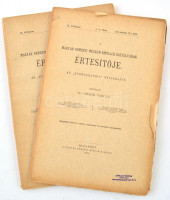 1908 A Magyar Nemzeti Múzeum Néprajzi Osztályának  Értesítője az 'Ethnographia' melléklete. [Néprajzi Értesítő.] IX. évf. 1-4. füzet. (Két füzetben. Teljes.) Szerk.: Dr. Semayer Vilibáld. Papírkötésben, a 3-4. füzet borítója