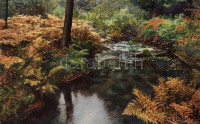 Nature<br/>