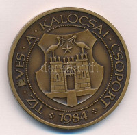 Fritz Mihály (1947-) 1984. 'MÉE / Tíz éves a Kalocsai Csoport' Br emlékérem (42,5mm) T:1-Adamo KA1