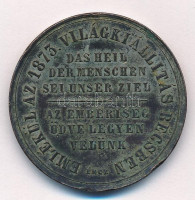 1873. 'Ferenc József / Emlékül az 1873. Világkiállítás Bécsben - Az emberiség üdve legyen velünk' Cu emlékérem (37mm) T:2 patina, ph.