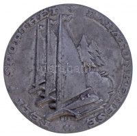 Boldogfai Farkas Sándor (1907-1970) 1942. 'Téli Sporthét Balatonkenesén' hadifém plakett, nem eredeti tokban (74mm) T:2