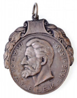 Lux Elek (1884-1941) 1940. 'Matolay Elek 1836-1883 / Tornászbajnokságok 1940' jelzett Ag díjérem füllel (15,31g/0.800/35x37mm) T:2