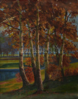 Kárpáthy Jenő (1870-1950): Fasor. Olaj, karton, sérült, jelzett, üvegezett keretben, 57×45 cm