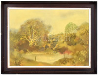 Szekeres Emil (1934-2019): Erdei tó. Olaj, farost. Jelzett. Hátoldalán autográf felirattal és Koszta József Galéria címkéjével. Fa keretben. 50x68 cm.