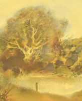 Szekeres Emil (1934-2019): Erdei tó. Olaj, farost. Jelzett. Hátoldalán autográf felirattal és Koszta József Galéria címkéjével. Fa keretben. 50x68 cm.