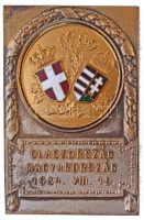 1934. 'Olaszország - Magyarország 1934. VIII. 19.' zománcbetétes, részben aranyozott, ezüstözött sport emlékplakett a budapesti atlétikai versenyről(?), 'ARKANZAS BPEST' gyártói jelzéssel (61x41mm) T:1-,2 kopott ezüstözés