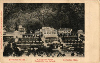 1903 Herkulesfürdő, Herkulesbad, Baile Herculane, Gyógyliget látképe. Fenyves Oszkár kiadása / Totalansicht vom Curpark / square, spa (EK)